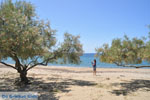 Strand Fellos bij Gavrio | Eiland Andros | De Griekse Gids | Foto 1 - Foto van De Griekse Gids