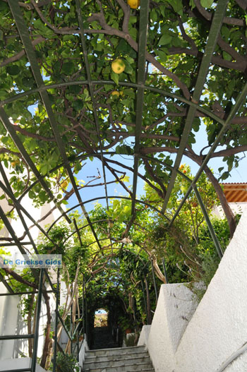 Andros-stad (Chora) | De Griekse Gids | Foto 005 - Foto van https://www.grieksegids.nl/fotos/eilandandros/andros-mid/eiland-andros-012.jpg