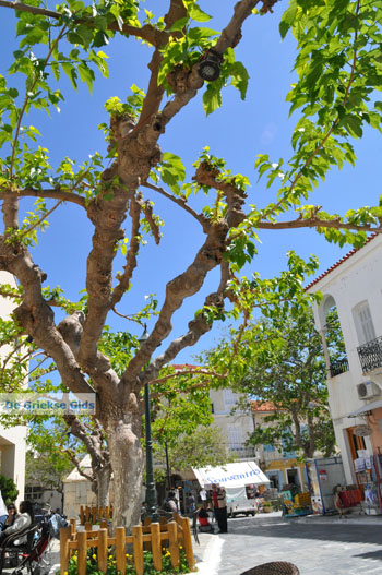 Andros-stad (Chora) | De Griekse Gids | Foto 078 - Foto van https://www.grieksegids.nl/fotos/eilandandros/andros-mid/eiland-andros-085.jpg
