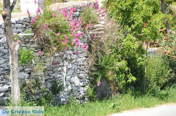 Bronnen Menites | Eiland Andros | De Griekse Gids Foto 002 - Foto van https://www.grieksegids.nl/fotos/eilandandros/andros-mid/eiland-andros-099.jpg