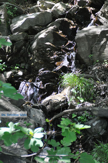 Bronnen Menites | Eiland Andros | De Griekse Gids Foto 007 - Foto van https://www.grieksegids.nl/fotos/eilandandros/andros-mid/eiland-andros-104.jpg