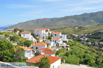 Stenies | Eiland Andros | De Griekse Gids foto 1 - Foto van https://www.grieksegids.nl/fotos/eilandandros/andros-mid/eiland-andros-122.jpg