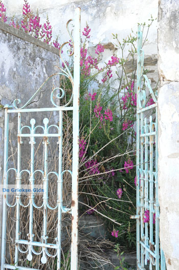 Stenies | Eiland Andros | De Griekse Gids foto 5 - Foto van https://www.grieksegids.nl/fotos/eilandandros/andros-mid/eiland-andros-126.jpg