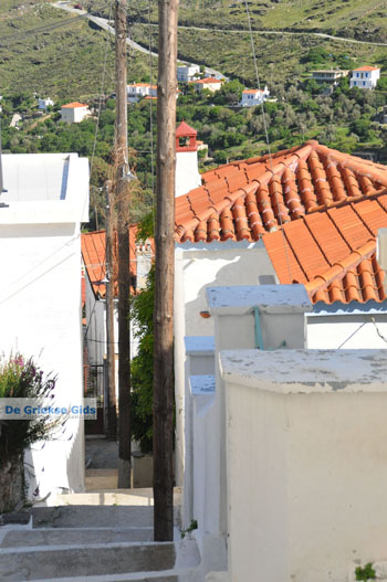 Stenies | Eiland Andros | De Griekse Gids foto 13 - Foto van https://www.grieksegids.nl/fotos/eilandandros/andros-mid/eiland-andros-134.jpg