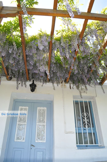 Stenies | Eiland Andros | De Griekse Gids foto 23 - Foto van https://www.grieksegids.nl/fotos/eilandandros/andros-mid/eiland-andros-144.jpg