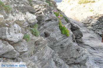 Andros-stad (Chora) | De Griekse Gids | Foto 114 - Foto van https://www.grieksegids.nl/fotos/eilandandros/andros-mid/eiland-andros-179.jpg