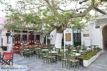 Andros-stad (Chora) | De Griekse Gids | Foto 134 - Foto van https://www.grieksegids.nl/fotos/eilandandros/andros-mid/eiland-andros-199.jpg