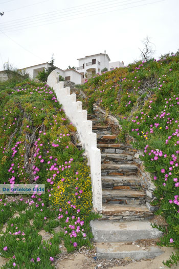Batsi | Eiland Andros | De Griekse Gids | Foto 7 - Foto van https://www.grieksegids.nl/fotos/eilandandros/andros-mid/eiland-andros-217.jpg