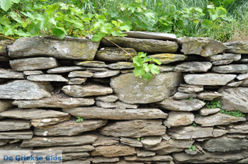 Batsi | Eiland Andros | De Griekse Gids | Foto 29 - Foto van https://www.grieksegids.nl/fotos/eilandandros/andros-mid/eiland-andros-239.jpg