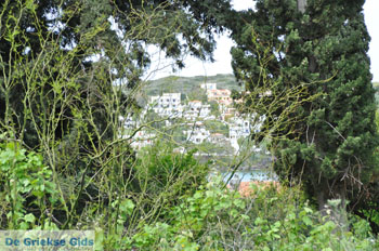 Batsi | Eiland Andros | De Griekse Gids | Foto 36 - Foto van https://www.grieksegids.nl/fotos/eilandandros/andros-mid/eiland-andros-246.jpg