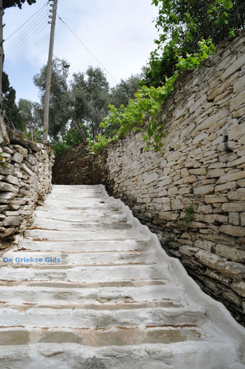 Batsi | Eiland Andros | De Griekse Gids | Foto 37 - Foto van https://www.grieksegids.nl/fotos/eilandandros/andros-mid/eiland-andros-247.jpg