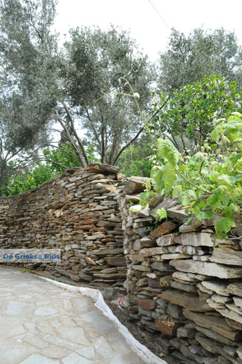 Batsi | Eiland Andros | De Griekse Gids | Foto 38 - Foto van https://www.grieksegids.nl/fotos/eilandandros/andros-mid/eiland-andros-248.jpg