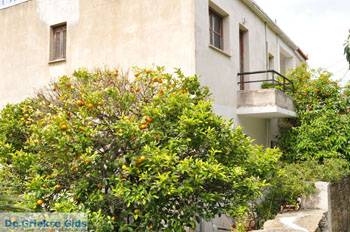 Batsi | Eiland Andros | De Griekse Gids | Foto 40 - Foto van https://www.grieksegids.nl/fotos/eilandandros/andros-mid/eiland-andros-250.jpg