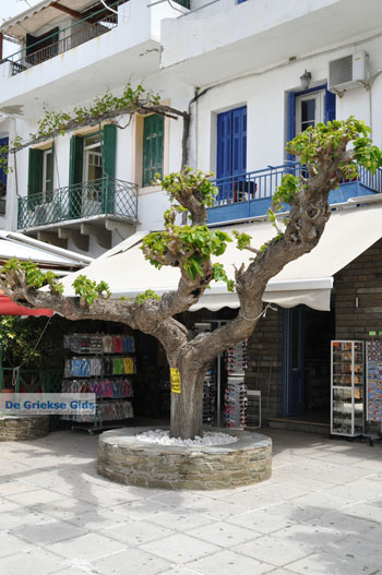 Batsi | Eiland Andros | De Griekse Gids | Foto 50 - Foto van https://www.grieksegids.nl/fotos/eilandandros/andros-mid/eiland-andros-260.jpg