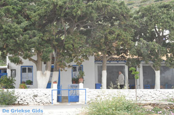 Batsi | Eiland Andros | De Griekse Gids | Foto 63 - Foto van https://www.grieksegids.nl/fotos/eilandandros/andros-mid/eiland-andros-273.jpg