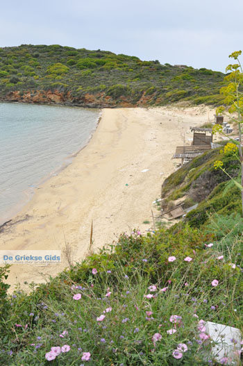 Strand bij Batsi | Eiland Andros | De Griekse Gids | Foto 2 - Foto van https://www.grieksegids.nl/fotos/eilandandros/andros-mid/eiland-andros-275.jpg