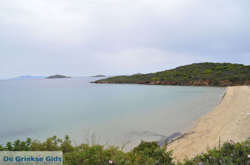 Strand bij Batsi | Eiland Andros | De Griekse Gids | Foto 3 - Foto van https://www.grieksegids.nl/fotos/eilandandros/andros-mid/eiland-andros-276.jpg