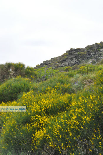 Op weg naar het klooster Panachrantou | Eiland Andros | De Griekse Gids 006 - Foto van https://www.grieksegids.nl/fotos/eilandandros/andros-mid/eiland-andros-294.jpg