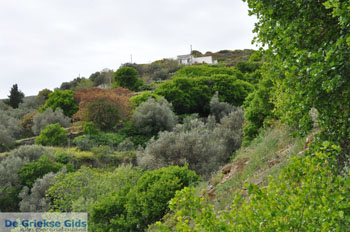 Op weg naar het klooster Panachrantou | Eiland Andros | De Griekse Gids 010 - Foto van https://www.grieksegids.nl/fotos/eilandandros/andros-mid/eiland-andros-298.jpg