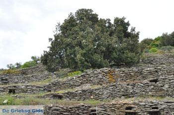 Op weg naar het klooster Panachrantou | Eiland Andros | De Griekse Gids 013 - Foto van https://www.grieksegids.nl/fotos/eilandandros/andros-mid/eiland-andros-301.jpg