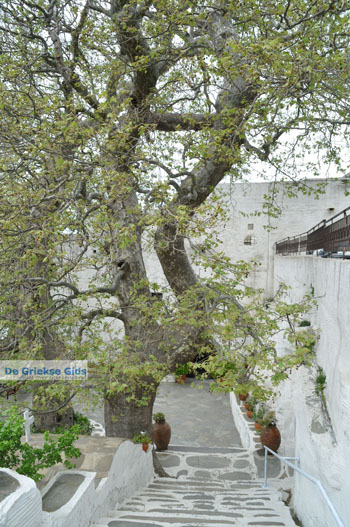 Panachrantou Klooster | Eiland Andros | De Griekse Gids | Foto 9 - Foto van https://www.grieksegids.nl/fotos/eilandandros/andros-mid/eiland-andros-308.jpg