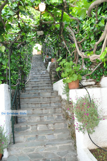 Appartementen Myrtho op eiland Andros | De Griekse Gids foto 4 - Foto van https://www.grieksegids.nl/fotos/eilandandros/andros-mid/eiland-andros-406.jpg