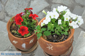 Appartementen Myrtho op eiland Andros | De Griekse Gids foto 5 - Foto van https://www.grieksegids.nl/fotos/eilandandros/andros-mid/eiland-andros-407.jpg