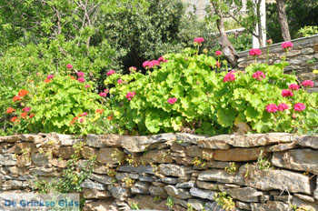 Appartementen Myrtho op eiland Andros | De Griekse Gids foto 15 - Foto van https://www.grieksegids.nl/fotos/eilandandros/andros-mid/eiland-andros-417.jpg