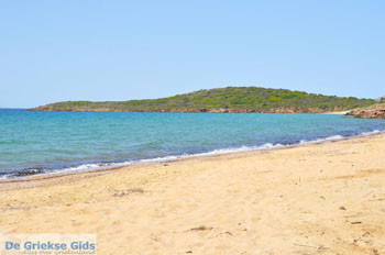 Strand Kypri (Golden Beach) bij Batsi | Eiland Andros | De Griekse Gids foto 001 - Foto van https://www.grieksegids.nl/fotos/eilandandros/andros-mid/eiland-andros-436.jpg