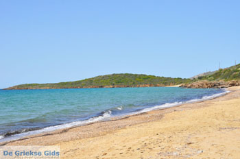 Strand Kypri (Golden Beach) bij Batsi | Eiland Andros | De Griekse Gids foto 003 - Foto van https://www.grieksegids.nl/fotos/eilandandros/andros-mid/eiland-andros-438.jpg