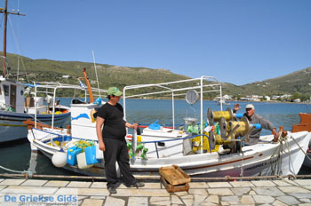 Haven Gavrio | Eiland Andros | De Griekse Gids | Foto 12 - Foto van https://www.grieksegids.nl/fotos/eilandandros/andros-mid/eiland-andros-456.jpg