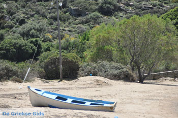 Strand Fellos bij Gavrio | Eiland Andros | De Griekse Gids | Foto 5 - Foto van https://www.grieksegids.nl/fotos/eilandandros/andros-mid/eiland-andros-482.jpg