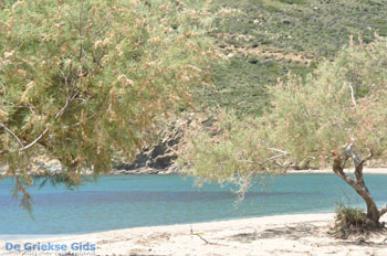 Strand Fellos bij Gavrio | Eiland Andros | De Griekse Gids | Foto 12 - Foto van https://www.grieksegids.nl/fotos/eilandandros/andros-mid/eiland-andros-489.jpg