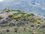 GriechenlandWeb Gebirge Kardamyla | Chios - GriechenlandWeb.de - Foto Doortje van Lieshout