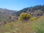 Natuur Chios | Chios - De Griekse Gids - Foto van Doortje van Lieshout