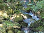 Stromend water Nagos | Natuur Chios - De Griekse Gids - Foto van Doortje van Lieshout