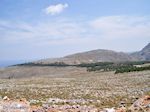 Kale natuur met af en toe bossen foto 2 - Eiland Chios - Foto van De Griekse Gids