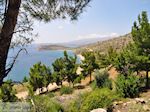 De stille westkust - Eiland Chios - Foto van De Griekse Gids