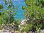 Strand nabij Lithio in de westkust - Eiland Chios - Foto van De Griekse Gids