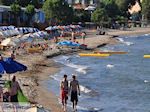 Schitterend zandstrand Karfas - Eiland Chios - Foto van De Griekse Gids