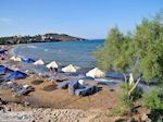 Genieten in Karfas - Eiland Chios - Foto van De Griekse Gids