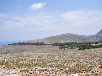 Kale natuur met af en toe bossen foto 2 - Eiland Chios - Foto van https://www.grieksegids.nl/fotos/eilandchios/350pixels/eiland-chios-foto-054.jpg