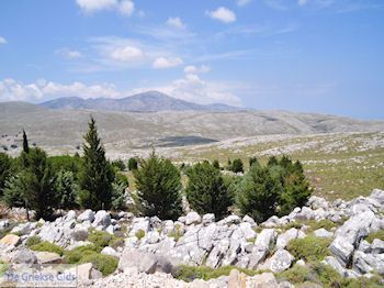 Rotsachtige natuur noord Chios - Eiland Chios - Foto van https://www.grieksegids.nl/fotos/eilandchios/350pixels/eiland-chios-foto-057.jpg