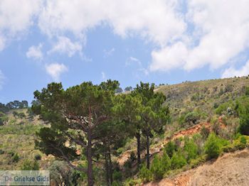 Natuur nabij Volissos foto 2 - Eiland Chios - Foto van https://www.grieksegids.nl/fotos/eilandchios/350pixels/eiland-chios-foto-063.jpg