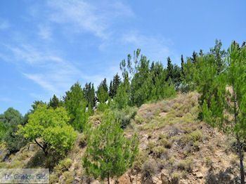 Aan de westkust - Eiland Chios - Foto van https://www.grieksegids.nl/fotos/eilandchios/350pixels/eiland-chios-foto-076.jpg
