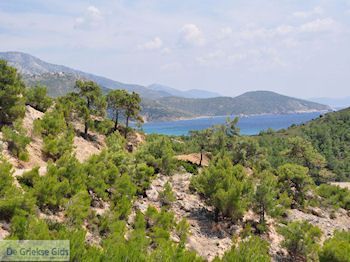 De mooie natuur aan de westkust - Eiland Chios - Foto van https://www.grieksegids.nl/fotos/eilandchios/350pixels/eiland-chios-foto-081.jpg