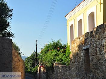 Kambos, hoge muren overal foto 1 - Eiland Chios - Foto van https://www.grieksegids.nl/fotos/eilandchios/350pixels/eiland-chios-foto-187.jpg
