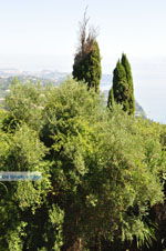 Achillion | Gastouri Corfu | Griekenland 37 - Foto van De Griekse Gids