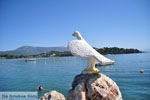 Gouvia | Corfu | Griekenland 13 - Foto van De Griekse Gids