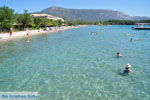 Dasia (Dassia) | Corfu | Griekenland 12 - Foto van De Griekse Gids